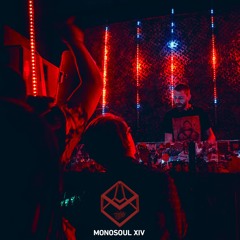 Monosoul XIV - Winterblues