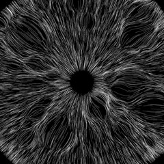 The Void Which Binds