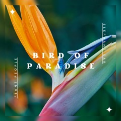 Bird of Paradise - Plant People (Feat. Elephant Ear)