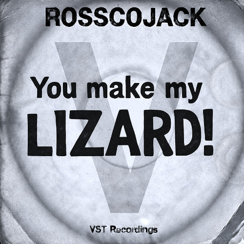You make my LIZARD! (Sandy B & Lizard Tech House Edit!)