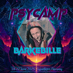 Barkebille @ Psycamp 2025, daytime 19.06.25 [Chill to Twilight]