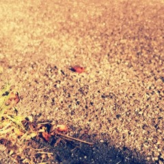 walk bro