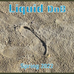 Liquid DnB Spring 2022 mix BTA