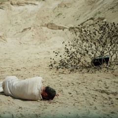 Our blood is not as  boiled - Peace Trigger Warning Acidrock