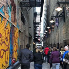 Best Gangsters And Ghosts Tour In Chicago Tours Review