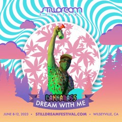 STILLDREAM23
