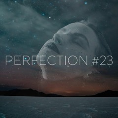 PERFECTION #23