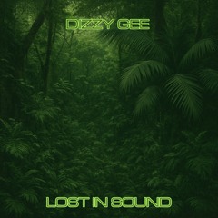 Dizzy Gee - Lost In Sound