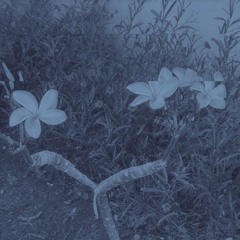 SOMATIC VOL 2
