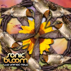 Sonic Bloom 2023 Originals and Edits