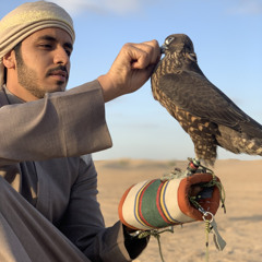 محمد بن غرمان /غيوم الشوق
