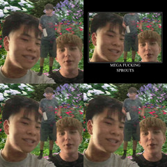 Mega Sprouts w Wynnterlude and Lil n prod Wynnterlude