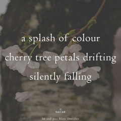 a silent splash [ naviarhaiku585 ]