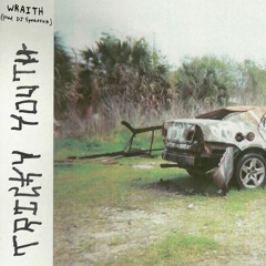 wraith (prod. DJ Speedsick)