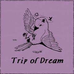 Trip of Dream (I'm. 2016 )
