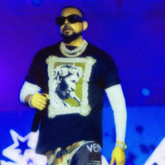 Sean Paul - She Doesn't Mind (XEER Remix) [FREE DL]