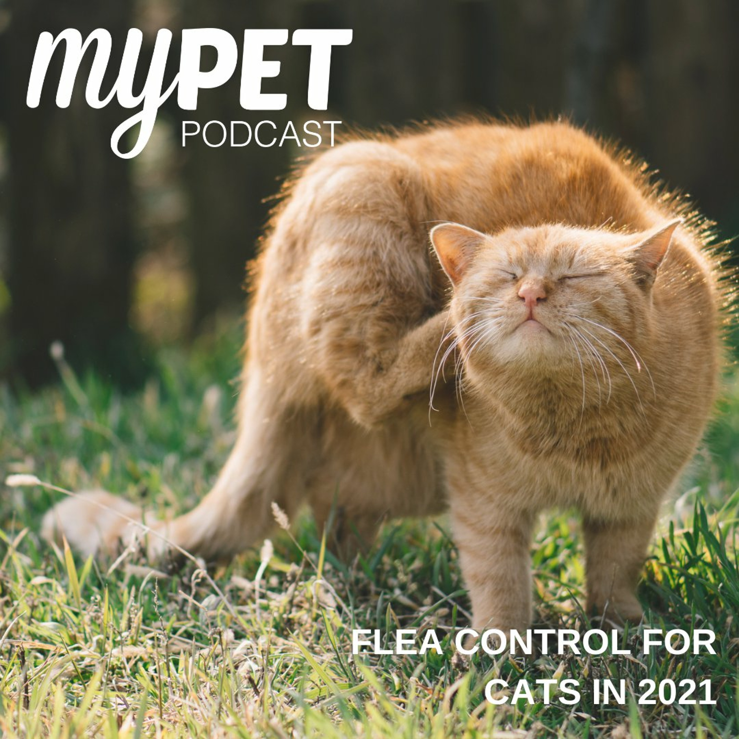 Flea Control for Cats in 2021 episode artwork