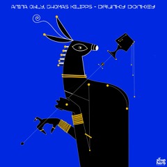 [SNIPPETS]_Anina_Owly_,_Thomas_Klipps_-_Sleep_On_Acid_(_Original_Mix_)