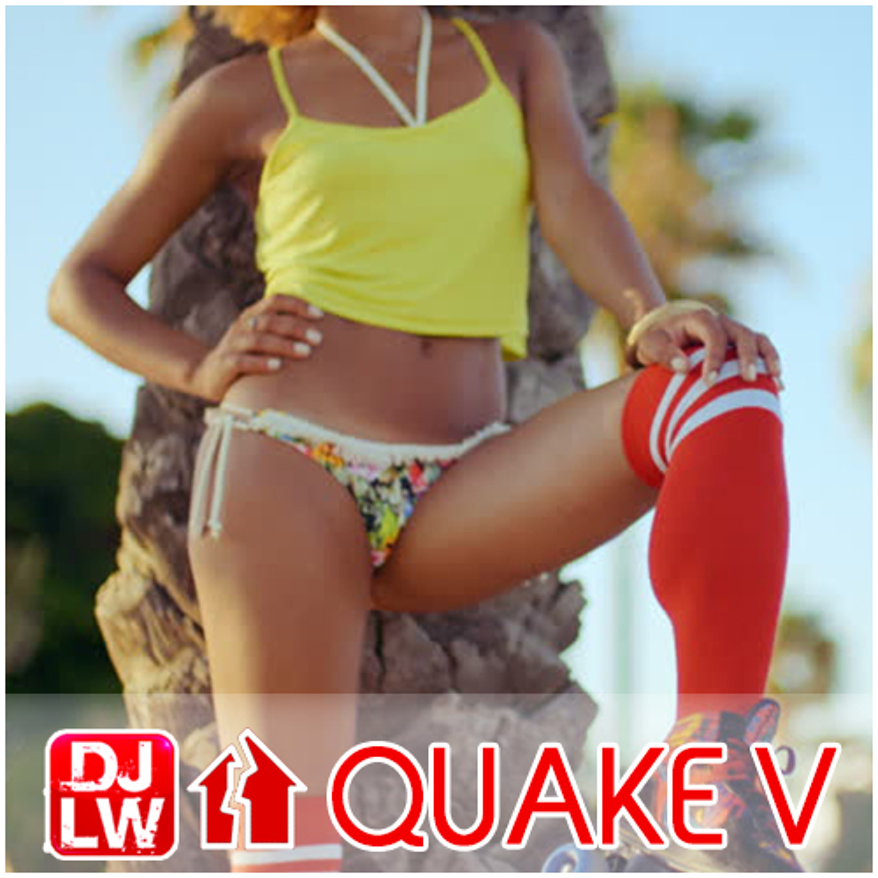 Housequake V