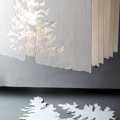 Ce que je vois #2 – On the Edge of the Forest de Line Dutoit Choffet