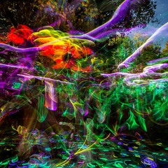 Jungle Of Lights