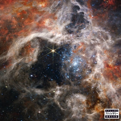 Stream eternal night by mxze | Listen online for free on SoundCloud