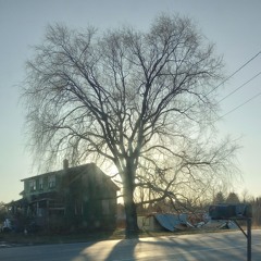 it's a beautiful day