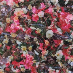 Автоспорт Пожалуйста только не домой flac