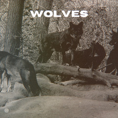 Wolves (ft. Phyzikal) prod. waytoolost