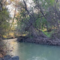 James Joint [orig by Rihanna + James Fauntleroy]