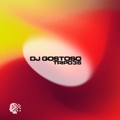 TRIP036 - DJ Gostoso