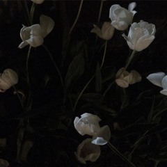 주지마 (기타 cover)