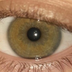 BrokenWingedBoy(BWB)