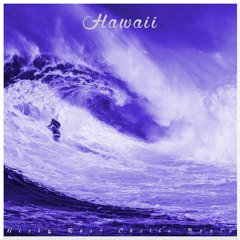 Micky Rosé - Hawaii (prod. by Chilli Beats)