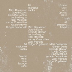 Fractal Meat On A Spongy Bone w/ Rutger Zuydervelt  080725