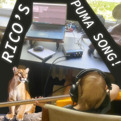 Richard's Puma Song