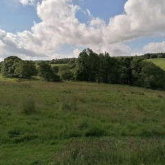 Waiting In The Wings