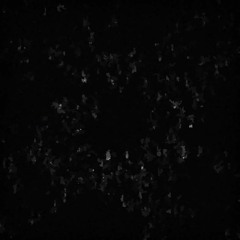 Shfft Discography.