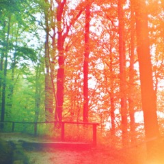 La inquietud de una hoja antes del otoño