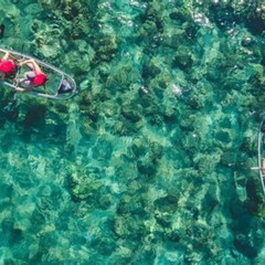 Review Special Price Clear Kayak Tour With Pontoons And Optional Snorkeling-Unlimited