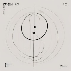 2π0