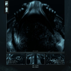 V+1029D Wick - New Body TEASER