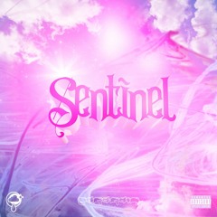 sentinel