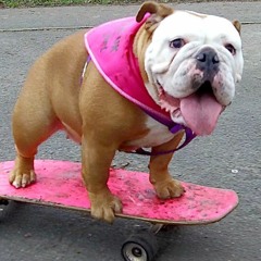 SK8 Party