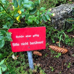 you might end up dead