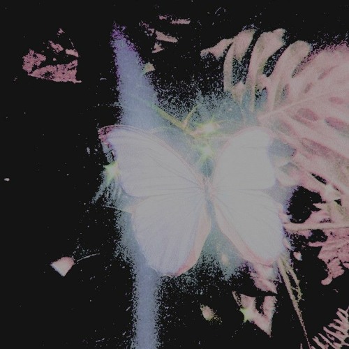 ☆dracö08 - 500ML (Prod. Grego Safary)