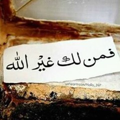 اسامه جلال عامر