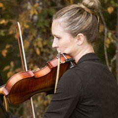 Can't Help Falling in Love - Live String Solo - Violin