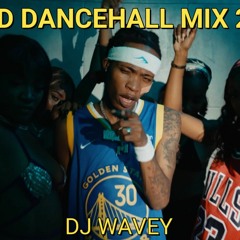 DANCEHALL MIXTAPE RAW 2024 {HAAD} ARMANII,SGEE VHENOM VALIANT,RAJAH WILD INTENCE [DJ WAVEY]