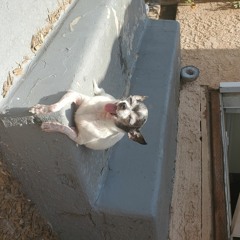 Dublab - Alpha Runner 06.16.21